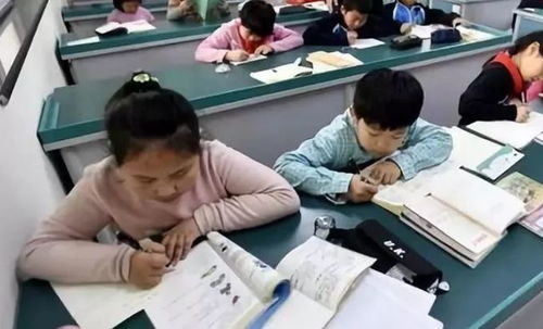 中小學(xué)課后服務(wù)全面鋪開，教育咨詢助力家長滿意度提升